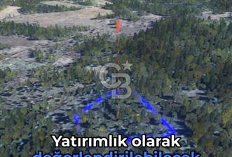KASTAMONU KÖÇEKLİ'DE YATIRIM FIRSATI