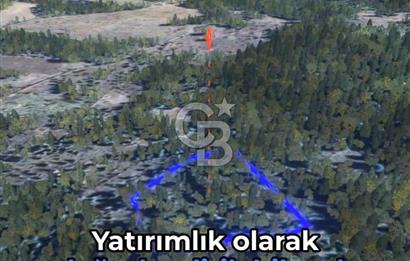 KASTAMONU KÖÇEKLİ'DE YATIRIM FIRSATI