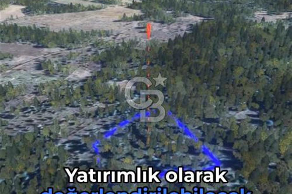 KASTAMONU KÖÇEKLİ'DE YATIRIM FIRSATI