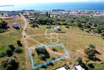 ÇANDARLI'DA 375 M2 DOĞA İLE İÇİÇE İMARLI ARSA