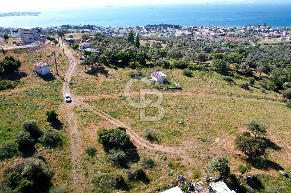 ÇANDARLI'DA 375 M2 DOĞA İLE İÇİÇE İMARLI ARSA