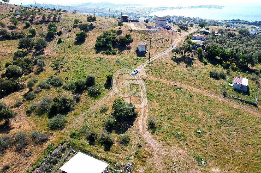 ÇANDARLI'DA 375 M2 DOĞA İLE İÇİÇE İMARLI ARSA
