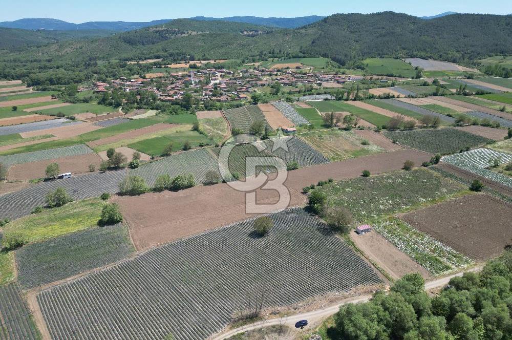 Çanakkale Yenice Çiftlik Köyünde 5,267 m2 Arazi