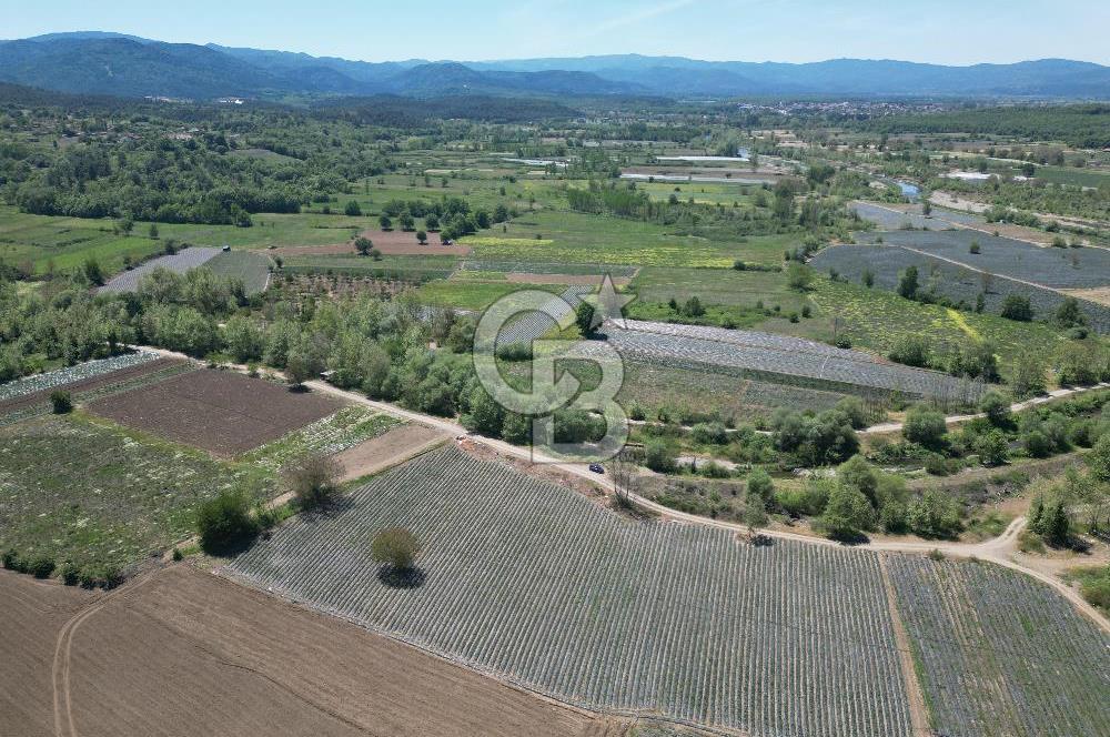 Çanakkale Yenice Çiftlik Köyünde 5,267 m2 Arazi