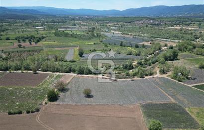Çanakkale Yenice Çiftlik Köyünde 5,267 m2 Arazi