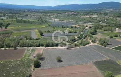 Çanakkale Yenice Çiftlik Köyünde 5,267 m2 Arazi