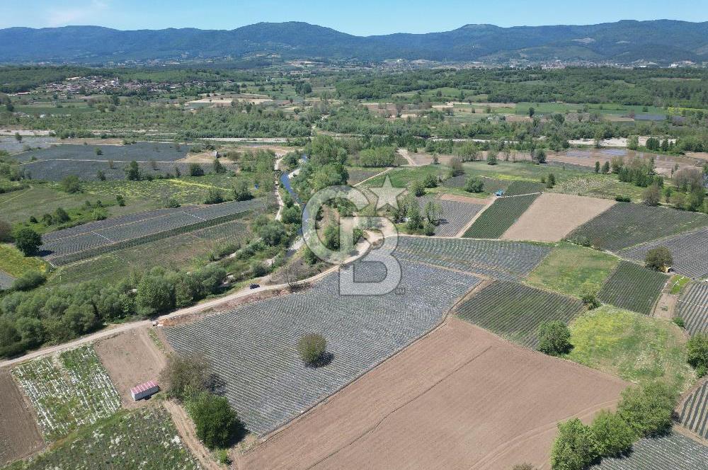 Çanakkale Yenice Çiftlik Köyünde 5,267 m2 Arazi