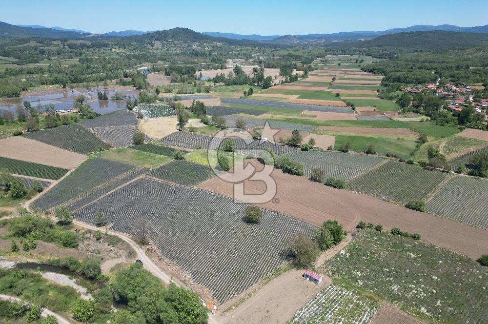 Çanakkale Yenice Çiftlik Köyünde 5,267 m2 Arazi