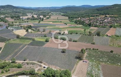 Çanakkale Yenice Çiftlik Köyünde 5,267 m2 Arazi