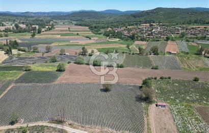 Çanakkale Yenice Çiftlik Köyünde 5,267 m2 Arazi