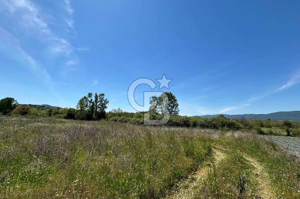 Çanakkale Yenice Çiftlik Köyünde 5,267 m2 Arazi