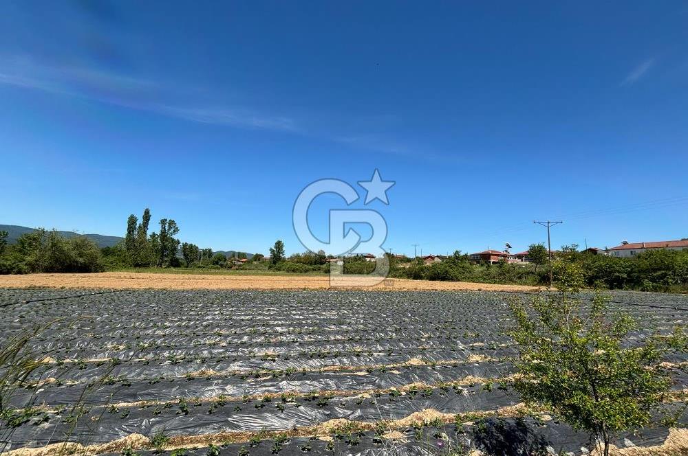 Çanakkale Yenice Çiftlik Köyünde 5,267 m2 Arazi