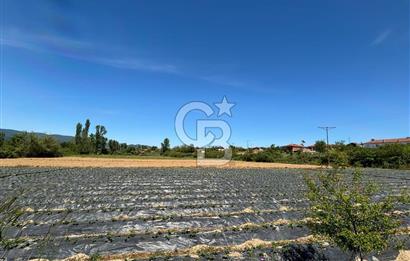 Çanakkale Yenice Çiftlik Köyünde 5,267 m2 Arazi
