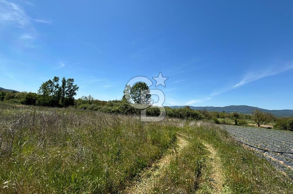Çanakkale Yenice Çiftlik Köyünde 5,267 m2 Arazi