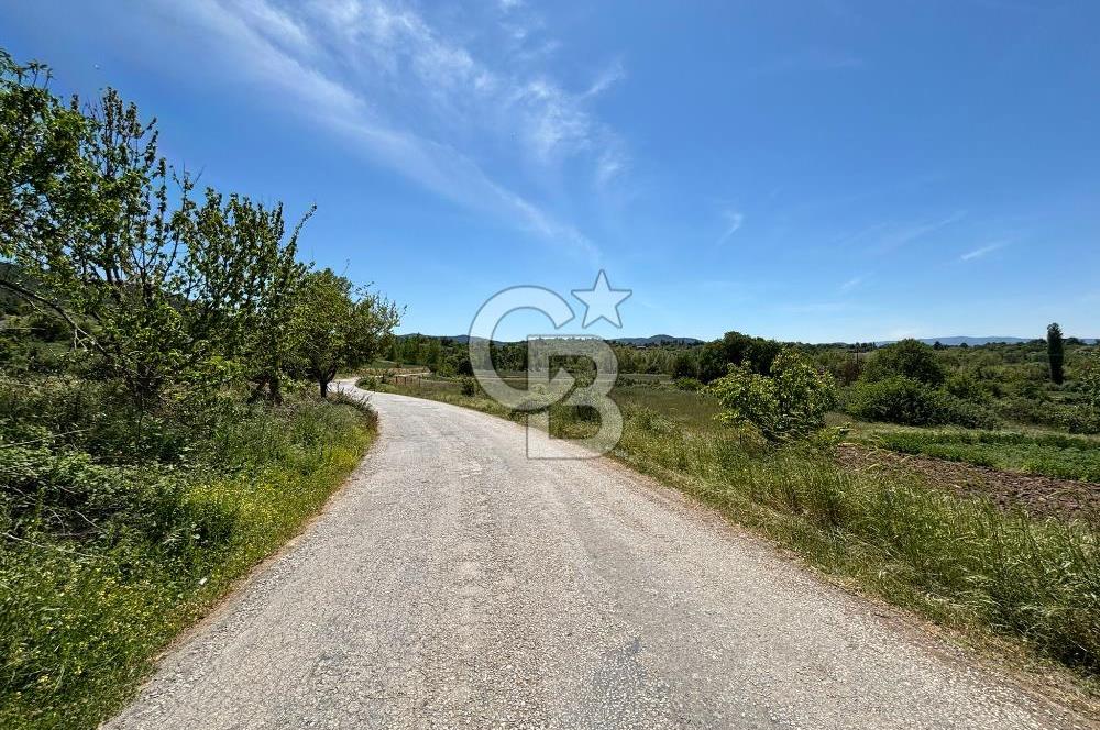 Çanakkale Yenice Çiftlik Köyünde 5,267 m2 Arazi