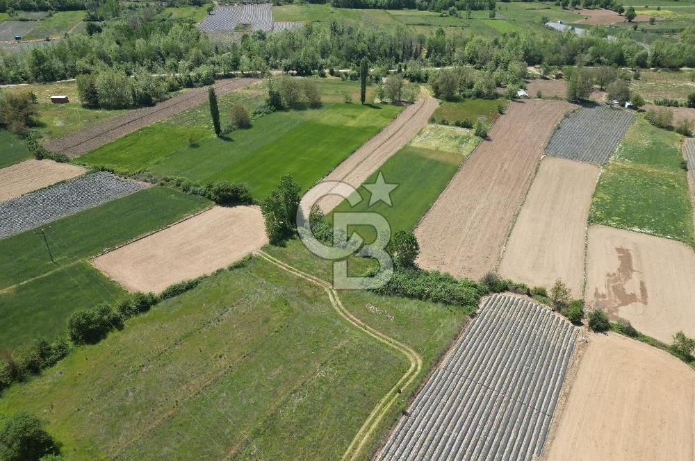 Çanakkale Yenice Çiftlik Köyünde 1.778 m2 Arazi