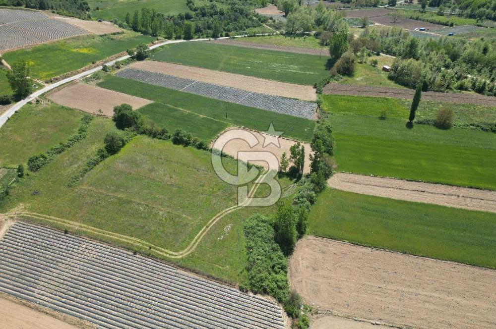 Çanakkale Yenice Çiftlik Köyünde 1.778 m2 Arazi
