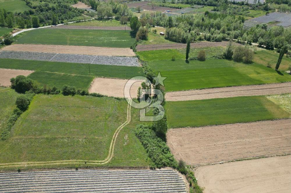 Çanakkale Yenice Çiftlik Köyünde 1.778 m2 Arazi