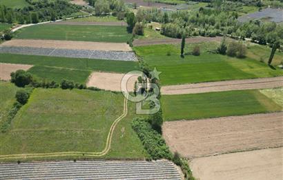 Çanakkale Yenice Çiftlik Köyünde 1.778 m2 Arazi