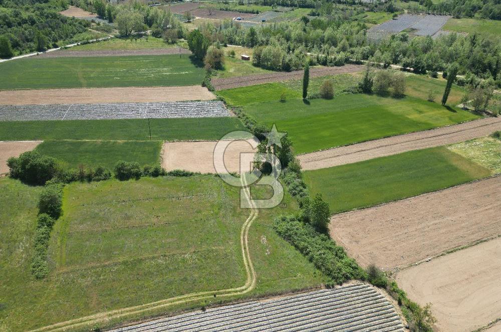 Çanakkale Yenice Çiftlik Köyünde 1.778 m2 Arazi