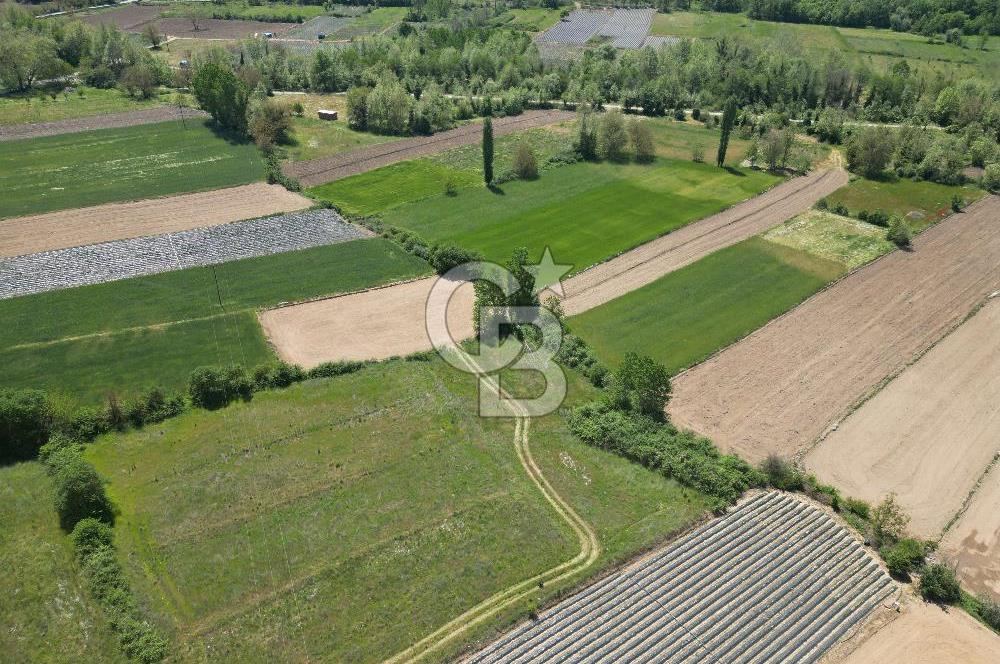 Çanakkale Yenice Çiftlik Köyünde 1.778 m2 Arazi
