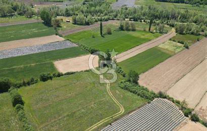 Çanakkale Yenice Çiftlik Köyünde 1.778 m2 Arazi