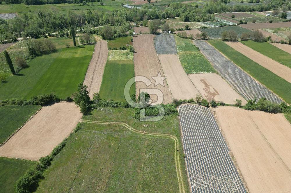Çanakkale Yenice Çiftlik Köyünde 1.778 m2 Arazi