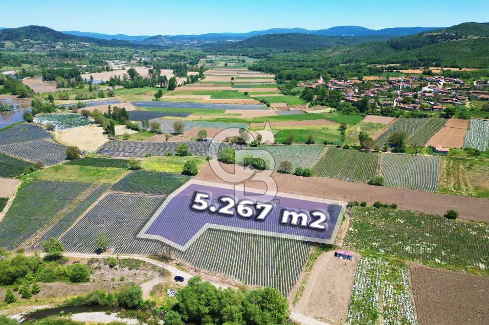 Çanakkale Yenice Çiftlik Köyünde 5,267 m2 Arazi