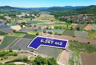 Çanakkale Yenice Çiftlik Köyünde 5,267 m2 Arazi