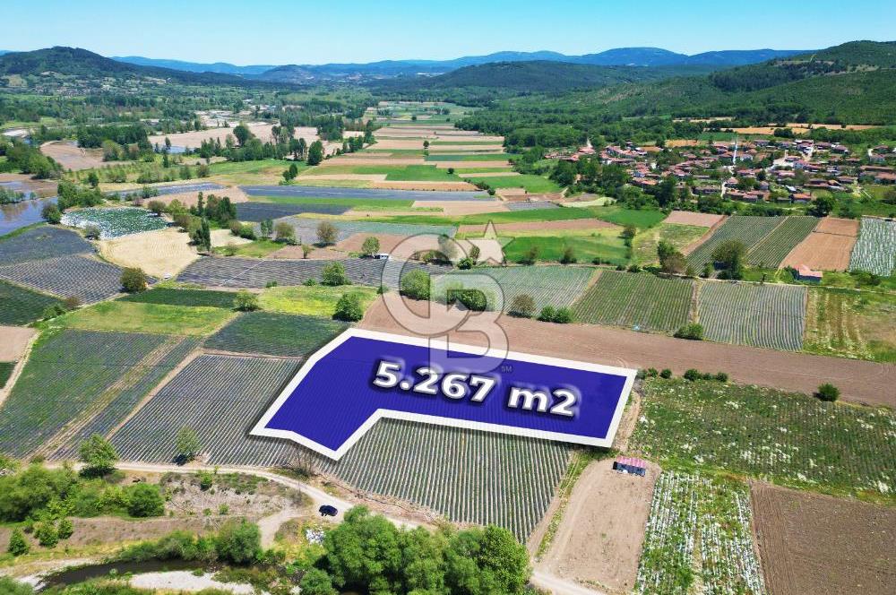 Çanakkale Yenice Çiftlik Köyünde 5,267 m2 Arazi