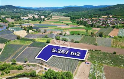 Çanakkale Yenice Çiftlik Köyünde 5,267 m2 Arazi