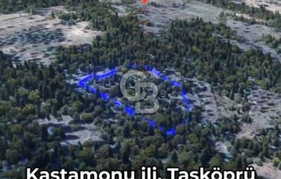 KASTAMONU KÖÇEKLİ'DE YATIRIM FIRSATI