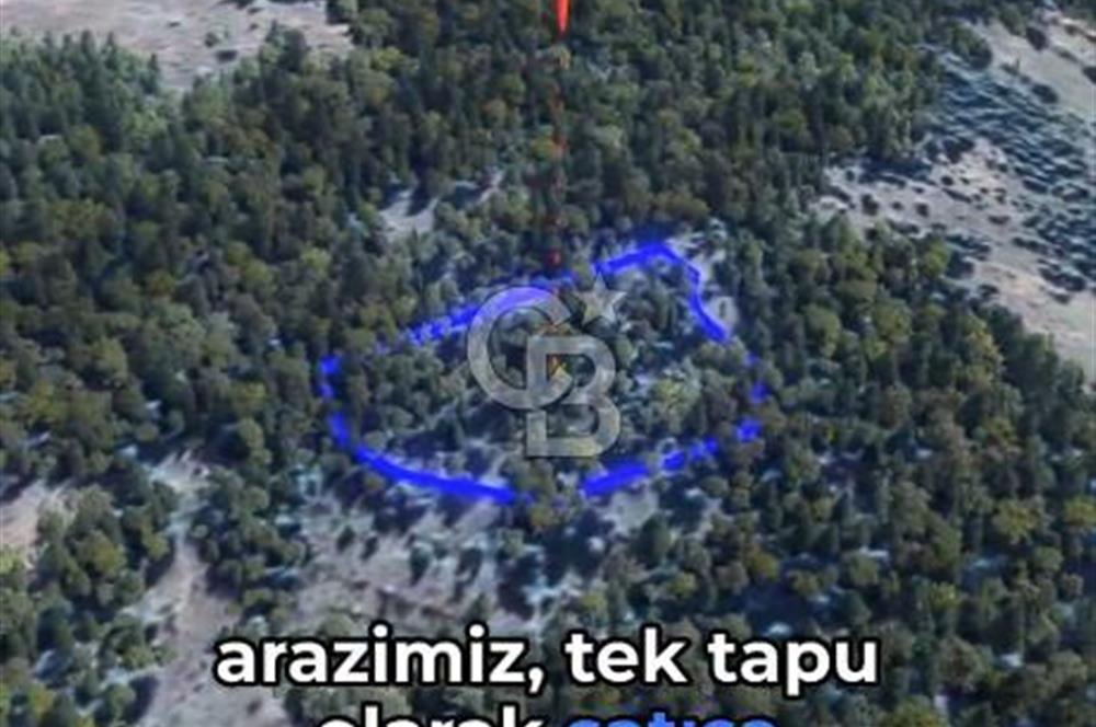 KASTAMONU KÖÇEKLİ'DE YATIRIM FIRSATI