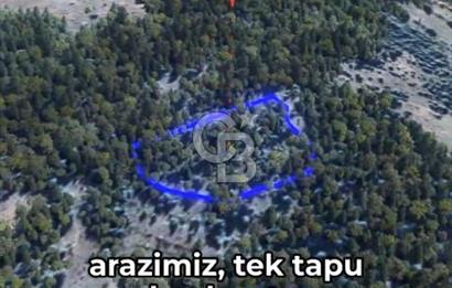 KASTAMONU KÖÇEKLİ'DE YATIRIM FIRSATI
