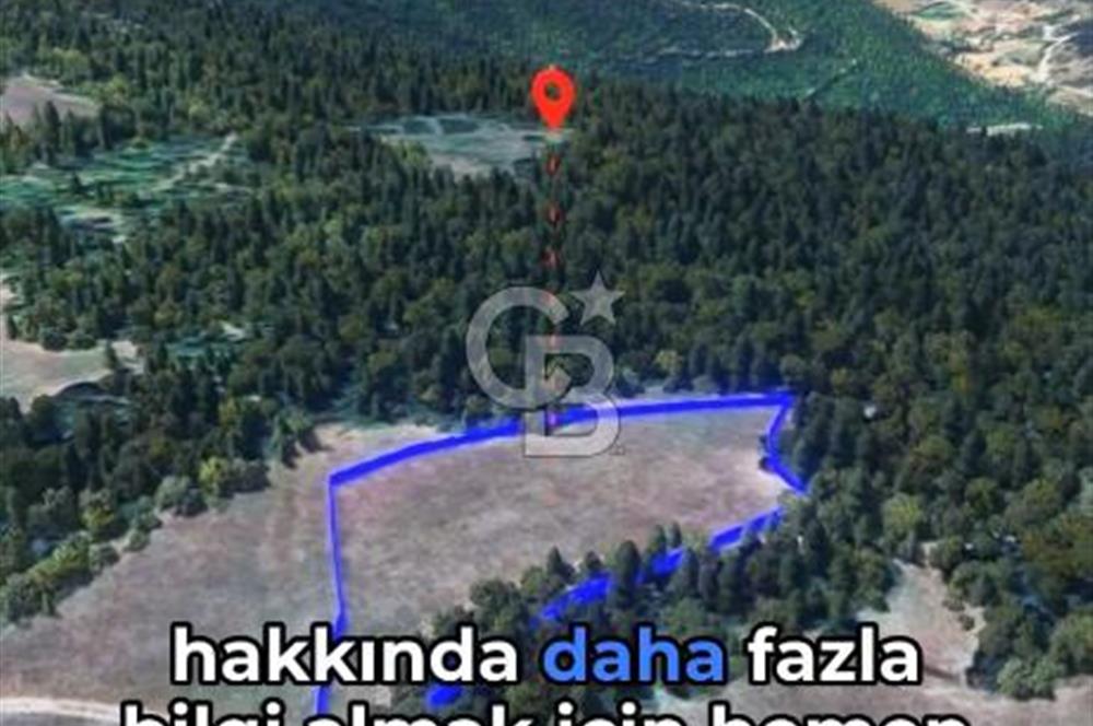 KASTAMONU MERKEZ SİPAHİ'DE YATIRIM 