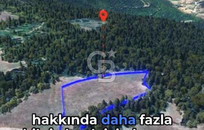 KASTAMONU MERKEZ SİPAHİ'DE YATIRIM 