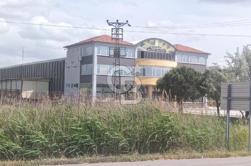 AKHİSAR MANİSA YOLU ÜZERİNDE KAPAKLI MAHALLESİNDE SATILIK 10491 M2 GAYRİMENKUL