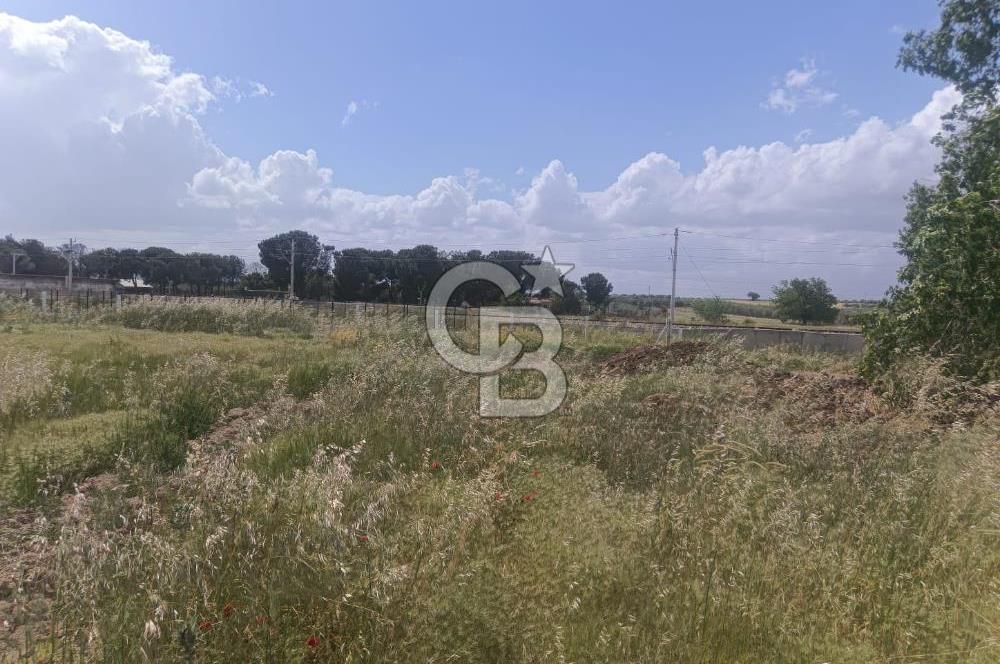 AKHİSAR MANİSA YOLU ÜZERİNDE KAPAKLI MAHALLESİNDE SATILIK 10491 M2 GAYRİMENKUL