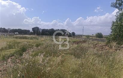 AKHİSAR MANİSA YOLU ÜZERİNDE KAPAKLI MAHALLESİNDE SATILIK 10491 M2 GAYRİMENKUL