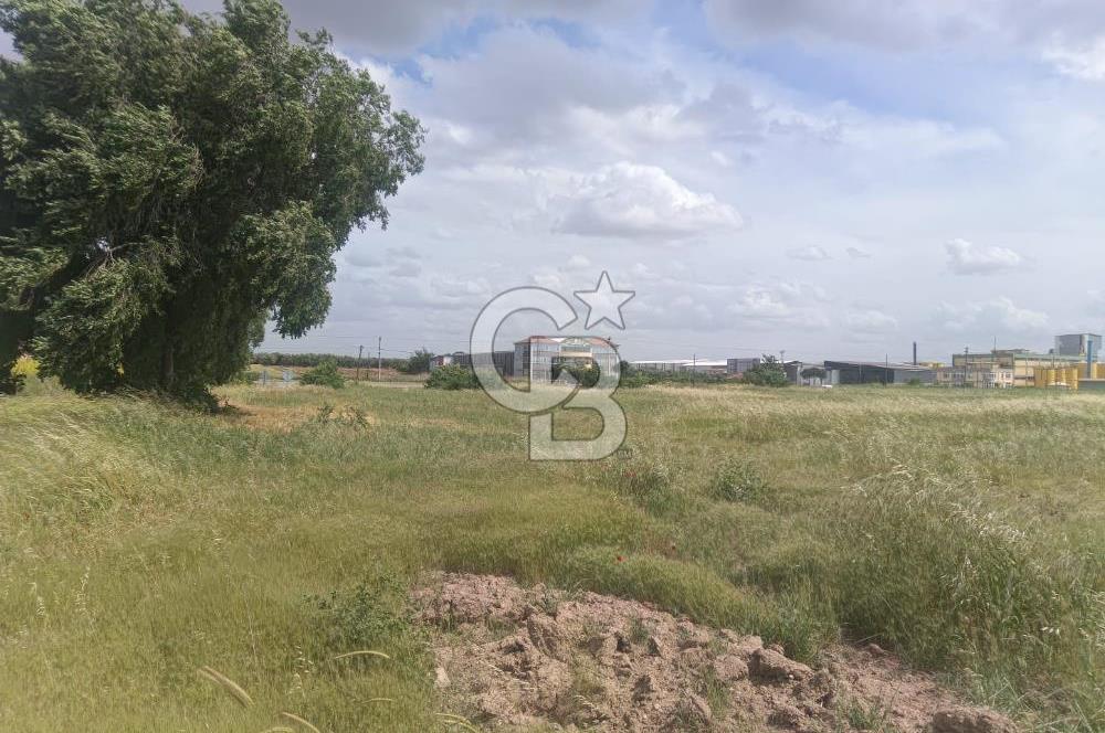 AKHİSAR MANİSA YOLU ÜZERİNDE KAPAKLI MAHALLESİNDE SATILIK 10491 M2 GAYRİMENKUL