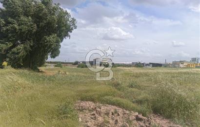 AKHİSAR MANİSA YOLU ÜZERİNDE KAPAKLI MAHALLESİNDE SATILIK 10491 M2 GAYRİMENKUL