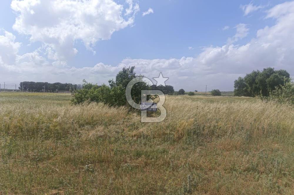 AKHİSAR MANİSA YOLU ÜZERİNDE KAPAKLI MAHALLESİNDE SATILIK 10491 M2 GAYRİMENKUL