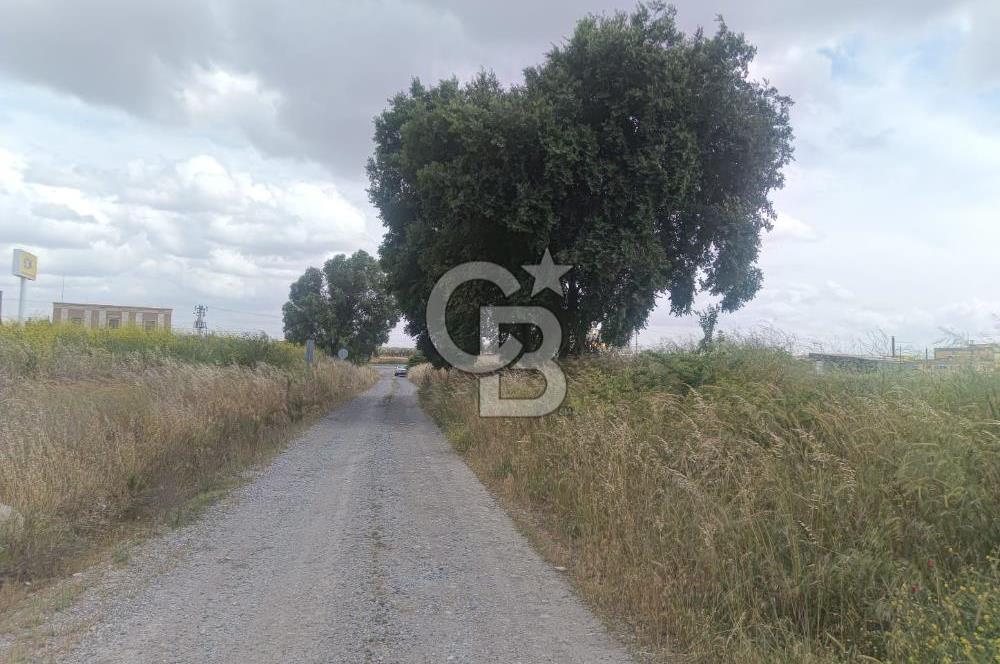 AKHİSAR MANİSA YOLU ÜZERİNDE KAPAKLI MAHALLESİNDE SATILIK 10491 M2 GAYRİMENKUL