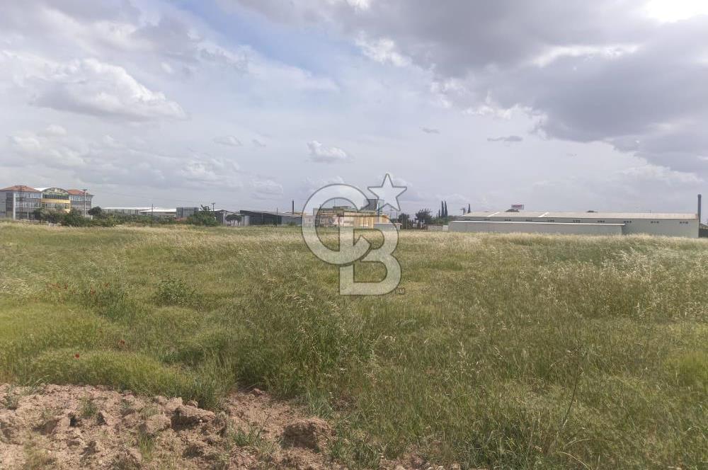 AKHİSAR MANİSA YOLU ÜZERİNDE KAPAKLI MAHALLESİNDE SATILIK 10491 M2 GAYRİMENKUL