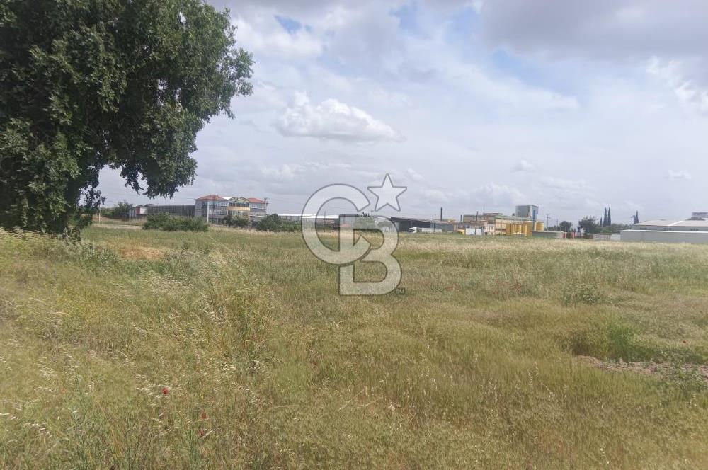 AKHİSAR MANİSA YOLU ÜZERİNDE KAPAKLI MAHALLESİNDE SATILIK 10491 M2 GAYRİMENKUL