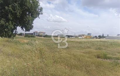 AKHİSAR MANİSA YOLU ÜZERİNDE KAPAKLI MAHALLESİNDE SATILIK 10491 M2 GAYRİMENKUL