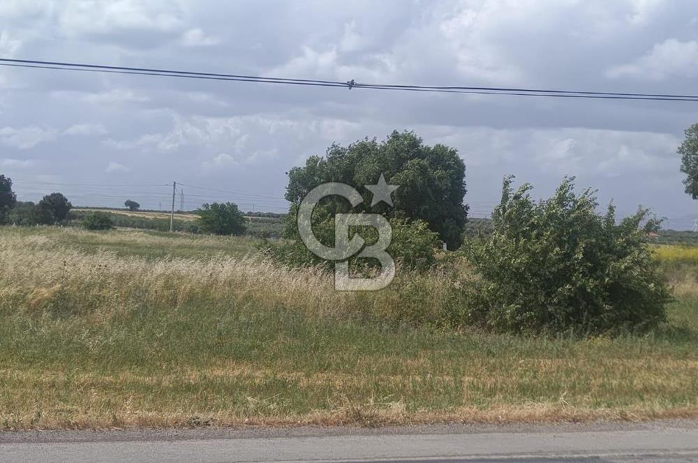 AKHİSAR MANİSA YOLU ÜZERİNDE KAPAKLI MAHALLESİNDE SATILIK 10491 M2 GAYRİMENKUL