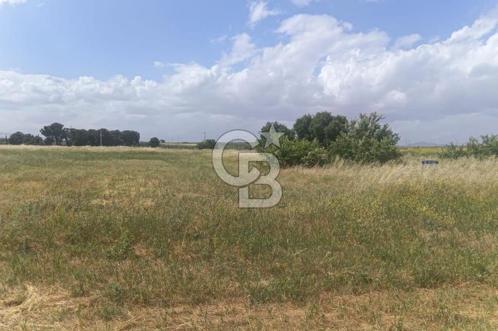 AKHİSAR MANİSA YOLU ÜZERİNDE KAPAKLI MAHALLESİNDE SATILIK 10491 M2 GAYRİMENKUL