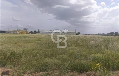 AKHİSAR MANİSA YOLU ÜZERİNDE KAPAKLI MAHALLESİNDE SATILIK 10491 M2 GAYRİMENKUL
