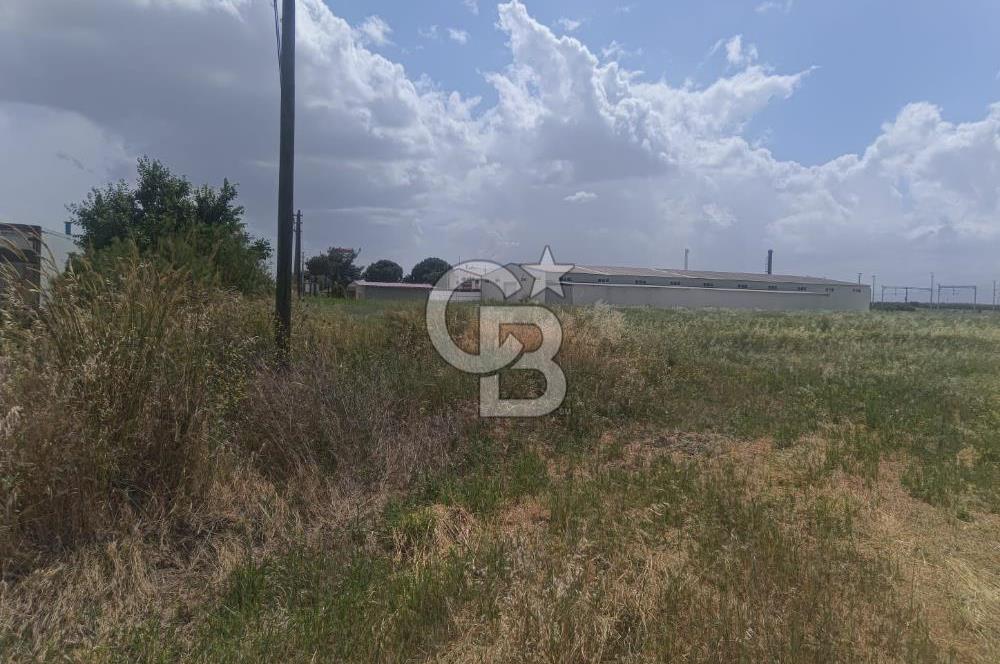 AKHİSAR MANİSA YOLU ÜZERİNDE KAPAKLI MAHALLESİNDE SATILIK 10491 M2 GAYRİMENKUL